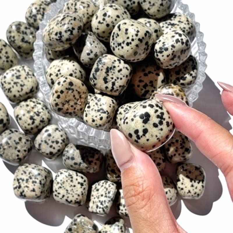 Divine Power Crystal Tumble Original GemStone For Manifestation, Healing and Meditation Dalmation Jasper